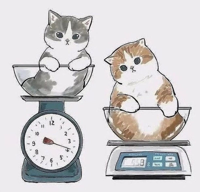 은평구청별관 - 화장실칸막이 은평구청별관 - 화장실칸막이