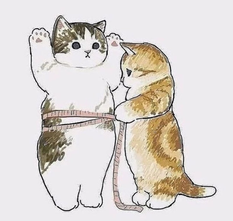 은평구청별관 - 화장실칸막이 은평구청별관 - 화장실칸막이